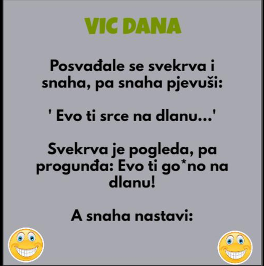 VIC DANA: Posvađale se svekrva i snaha