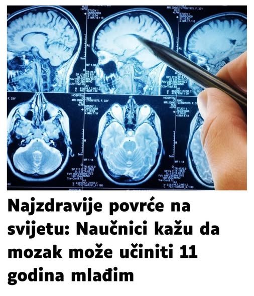 POVRĆE JE TOLIKO ZDRAVO DA O NJEMU PIŠE NJUJORK TAJMS: Amerikanci daju po 30 dolara za jedan list, a ono raste kod nas