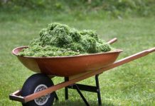 NlKADA NE BACAJTE P0K0ŠENU TRAVU! Evo za što JE možete koristiti!