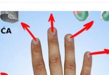 Svaki prst je povezan sa dva organa: japanska metoda će izlečiti svaku bolest za 5 minuta!