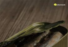 “Opasne su za mozak”: Neurolog otkrio koje četiri namirnice nikada ne jede