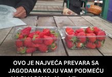 0V0 JE NAJVEĆA PREVARA SA JAG0DAMA NA PIJACAMA: Ako vidite ovo na dnu gajbice, bežite od te tezge!