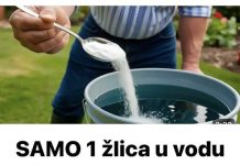 SAMO 1 žlica u vodu i sve biljke rastu dvostruko brže