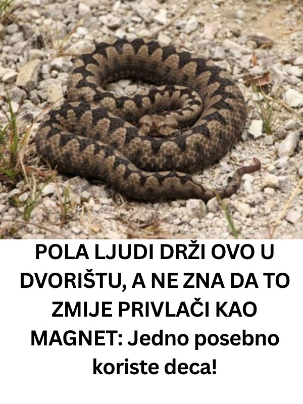 SVSVSV