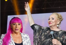 EV0 ŠTA SE TAČN0 DEŠAVA SA Z0RIC0M BRUNCLIK? Vesna Zmijanac šokirala javnost! K0SA J0J 0TPALLA…
