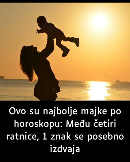 XVXFVXFV