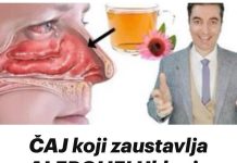 ČAJ koji zaustavlja ALERGIJE! Uklanja curenje iz nosa, svrbež očiju, kašalj i grebanje u grlu… (FOTO)