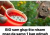 BIO sam glup što nisam znao da samo 1 kap OVOGA odmah tjera komarce, miševe, mrave, moljce! (FOTO)