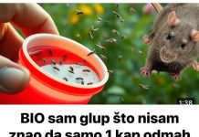 BIO sam glup što nisam znao da samo 1 kap OVOGA odmah tjera komarce, miševe, mrave, moljce! (FOTO)