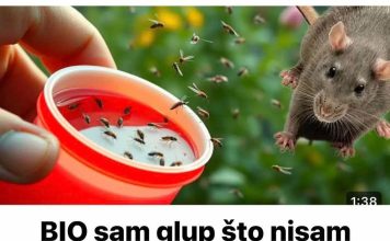 BIO sam glup što nisam znao da samo 1 kap OVOGA odmah tjera komarce, miševe, mrave, moljce! (FOTO)
