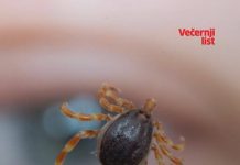 Hrvat pet godina živio u agoniji, liječnici nisu znali što mu je: Nije sličio sebi