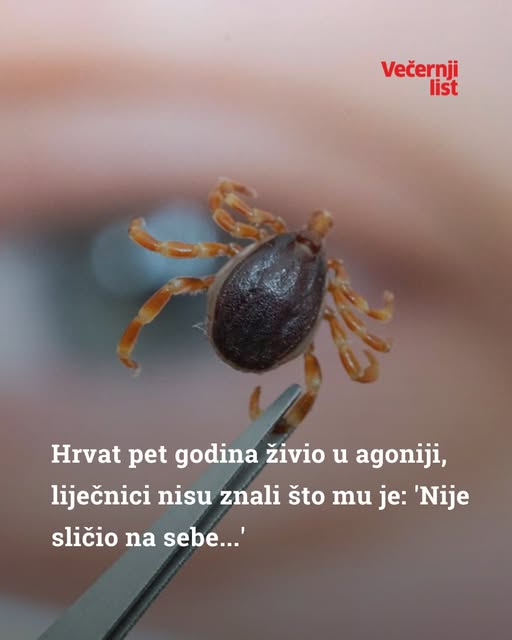 sdvsdvdv