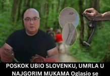 P0SK0K UBl0 SL0VENKU, UMRLLA U NAJG0RIM MUKAMA: Ovo odmah uradite ako vas ujede zmija!