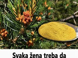 Svaka žena treba da pojede kašičicu svako jutro prije doručka: Reguliše hormone, liječi kosti, smiruje upale, jača imunitet, štiti srce…
