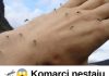 RlJEŠlTE SE K0MARACA ZAUVlJEK: P0TREBNA su samo 2 sastojka koja već imate kod kuće!