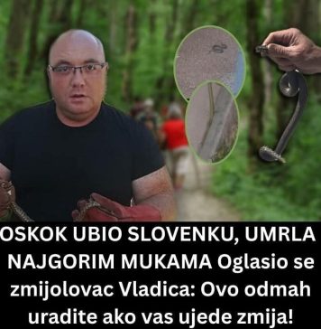 POSKOK UBIO SLOVENKU, UMRLA U NAJGORIM MUKAMA Oglasio se poznati zmijolovac: Ovo odmah uradite ako vas ujede zmija!