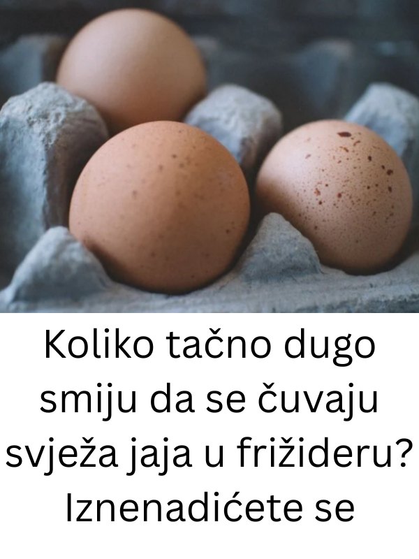 bdsfbfsbfb