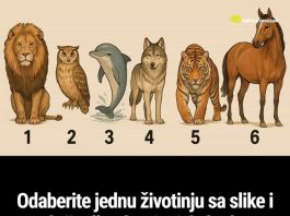 Odaberite jednu životinju sa slike i otkrijte šta drugi misle kad se spomene vaše ime