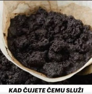Evo čemu služi talog od kafe, čuvat ćete ga kao zlato: 2 su velika razloga!
