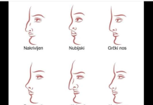 ZAISTA JE ISTINA: Evo šta OBLIK NOSA govori O VAMA! Svima je pogodilo