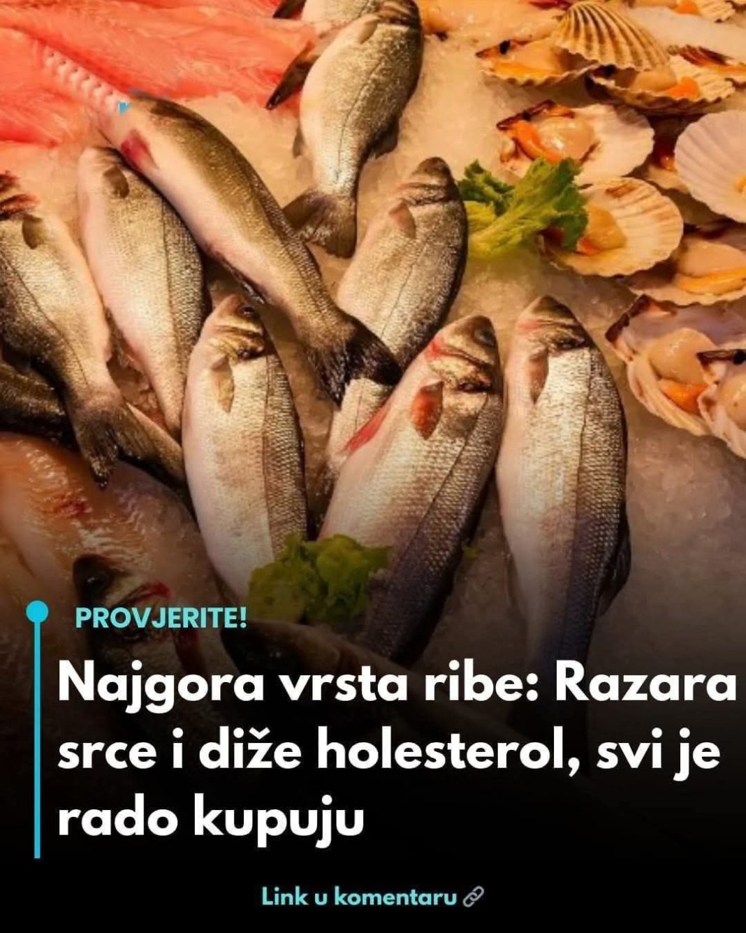 vbnvbn